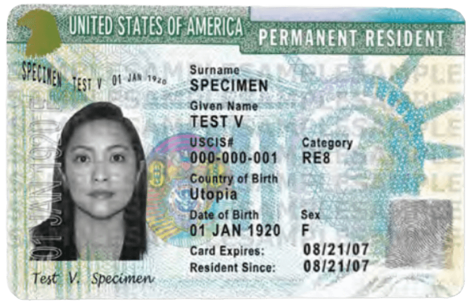 Carte Verte des États-Unis by Passure the passport photo app